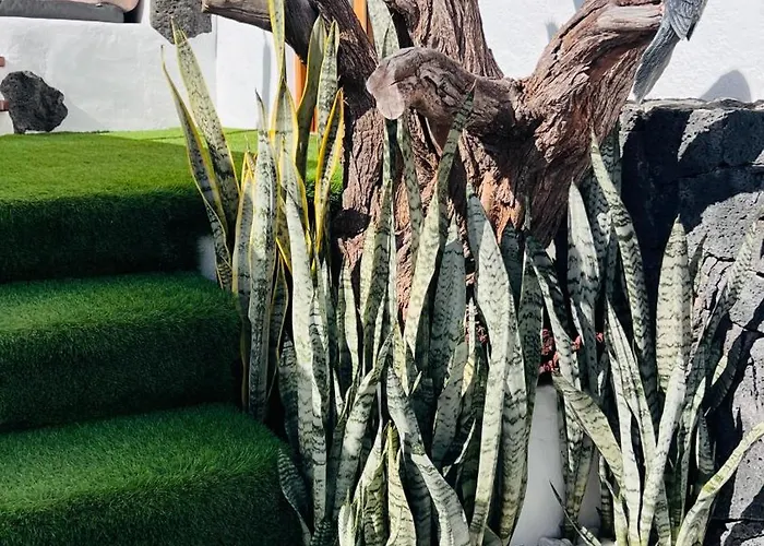 Refugio De Luz Y Tranquilidad En * Nazaret