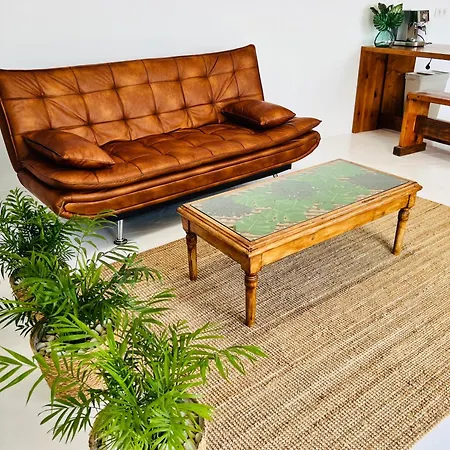 Refugio De Luz Y Tranquilidad En Apartament *